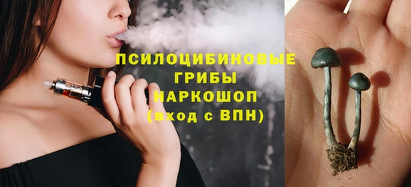сатива Беломорск