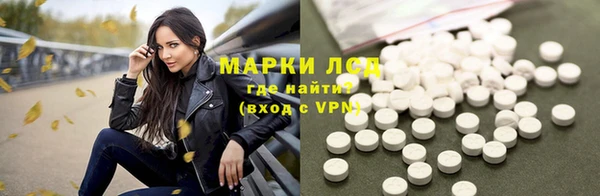сатива Беломорск