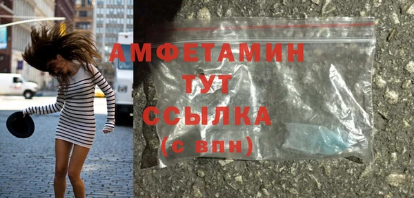 сатива Беломорск