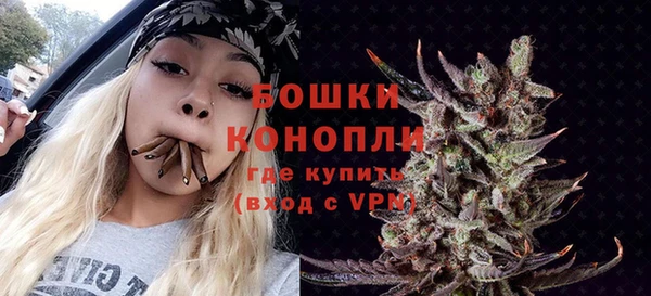 сатива Беломорск