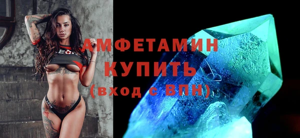 сатива Беломорск