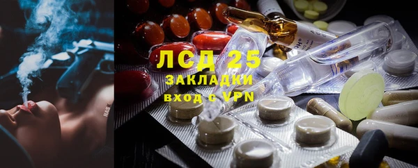 спайс Бородино