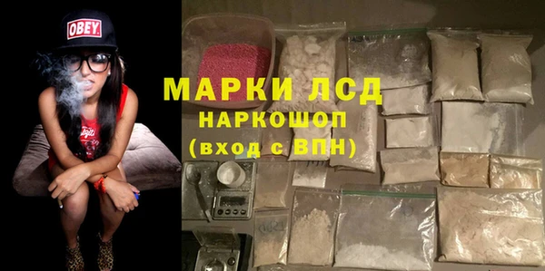 сатива Беломорск