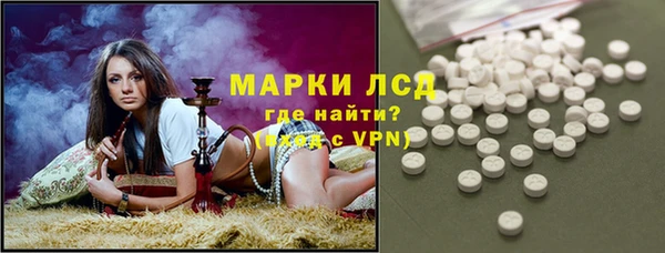 сатива Беломорск