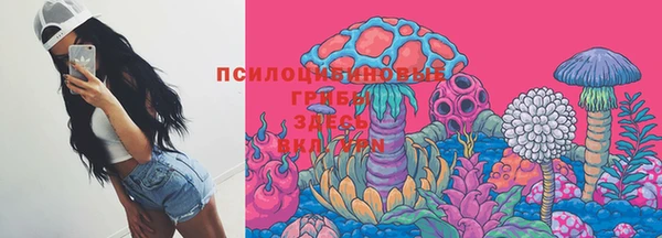 спайс Бородино