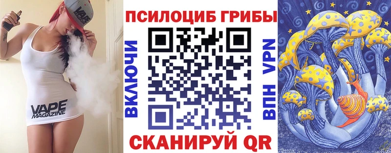 Псилоцибиновые грибы Psilocybine cubensis  магазин  наркотиков  Горячий Ключ 